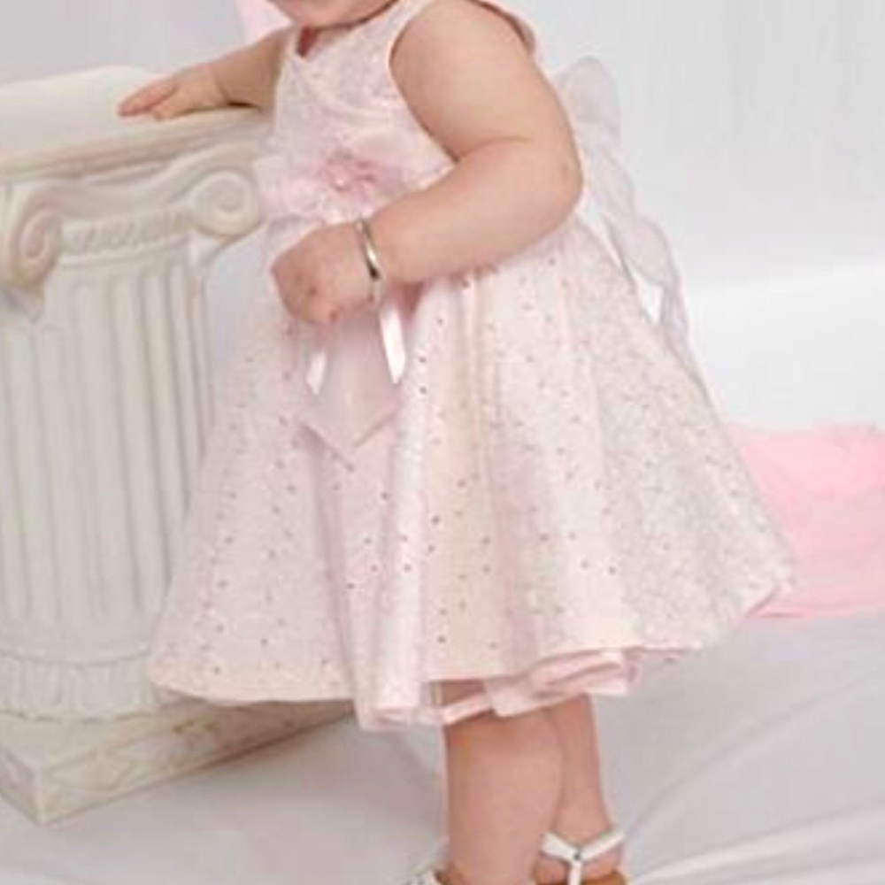 Bonnie Baby Light Pink Flower Dress